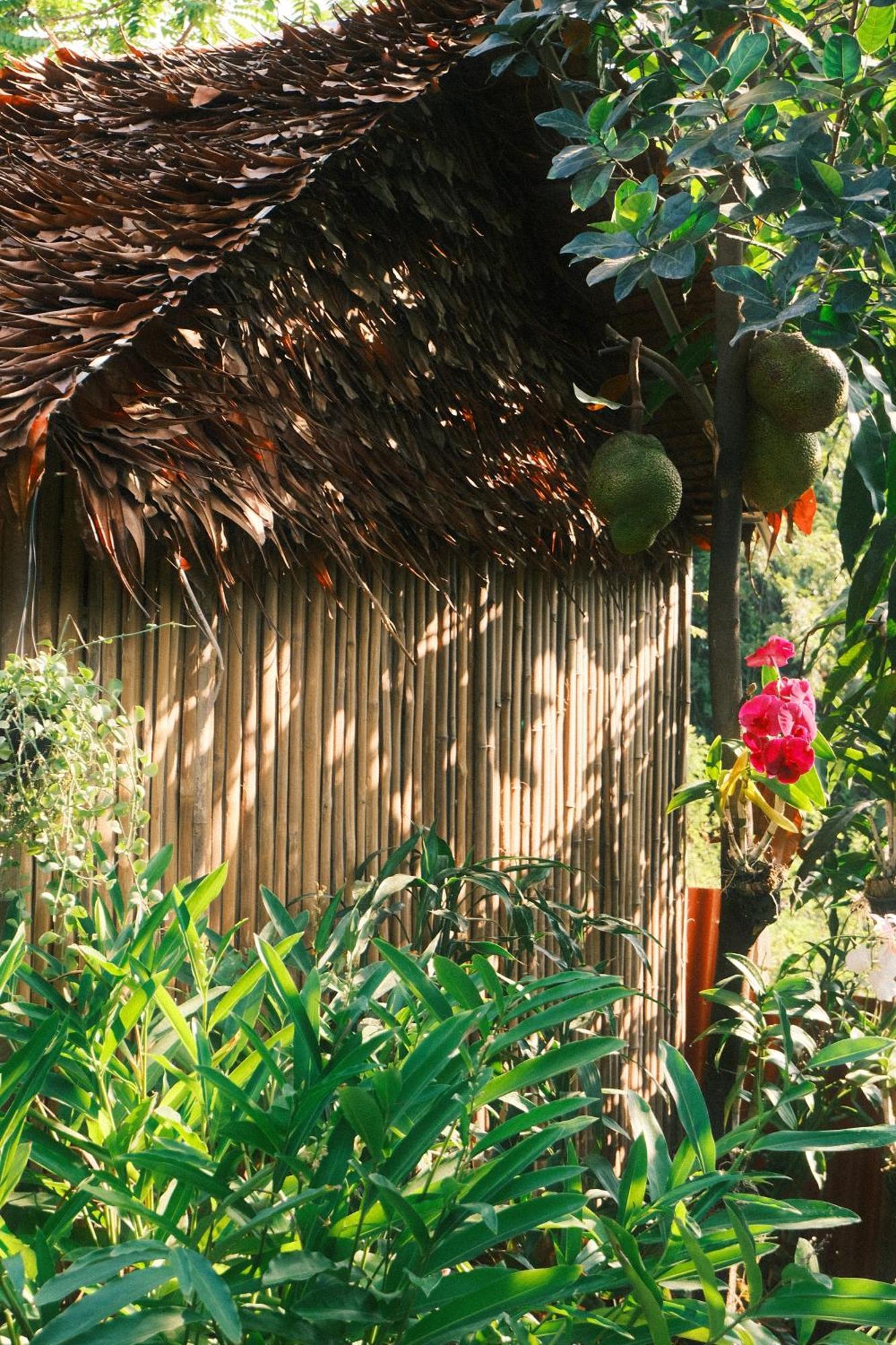Siem Reap Homesteading Exterior photo